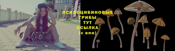 хмурый Нязепетровск