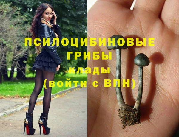 хмурый Нязепетровск